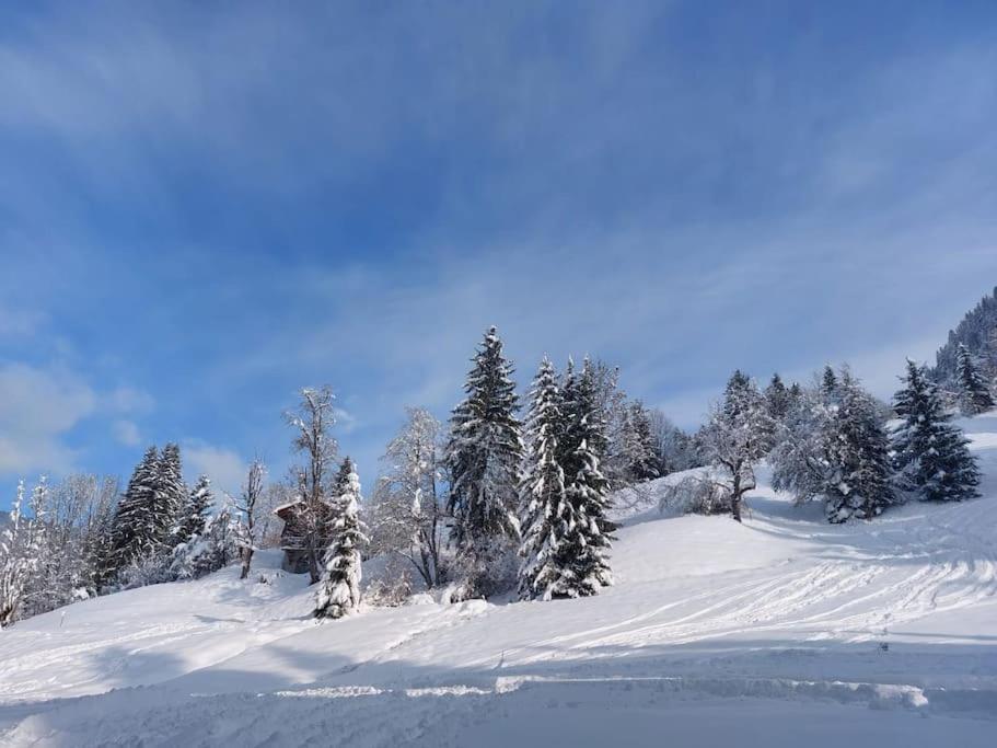 Appartamento Di Charme Praz-sur-Arly Zewnętrze zdjęcie