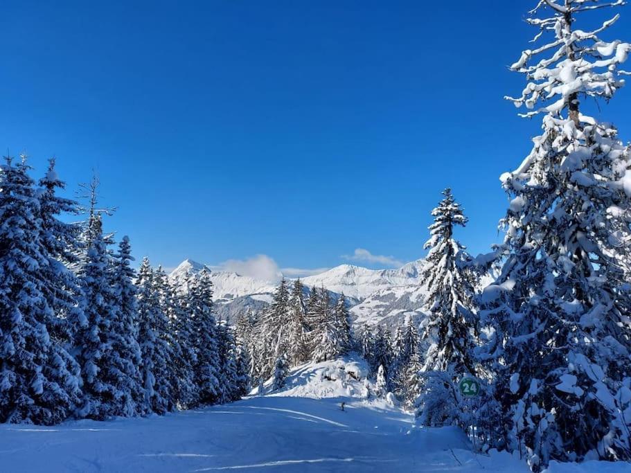 Appartamento Di Charme Praz-sur-Arly Zewnętrze zdjęcie